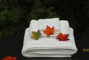 3 Autumn Leaves on some white towels