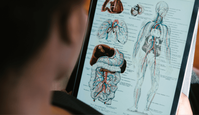 VTCT Level 3 Anatomy and Physiology Online