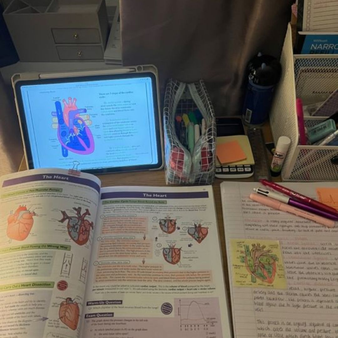 Anatomy and Physiology Online Course | Level 3 Accredited