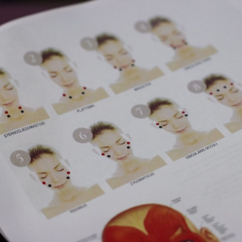 Anatomy and Physiology Online Course Level Accredited